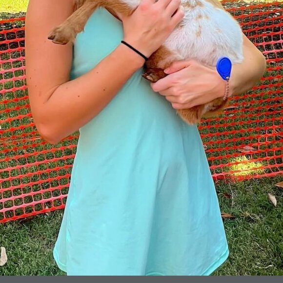 Green Athletic Dress - Picture 2 of 2